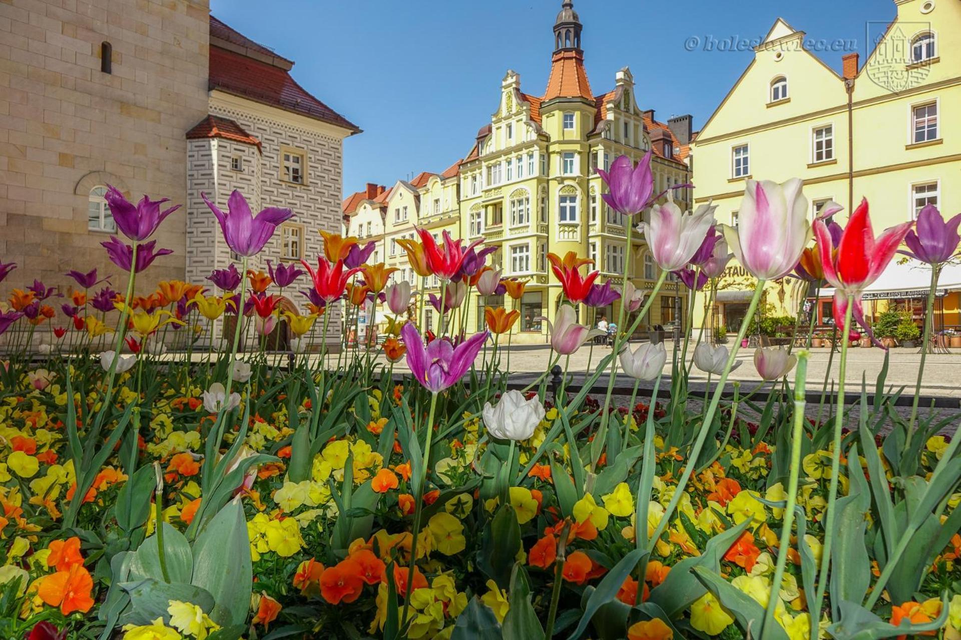 Apartament Przy Starowce - Hampton Boleslawiec  Bagian luar foto